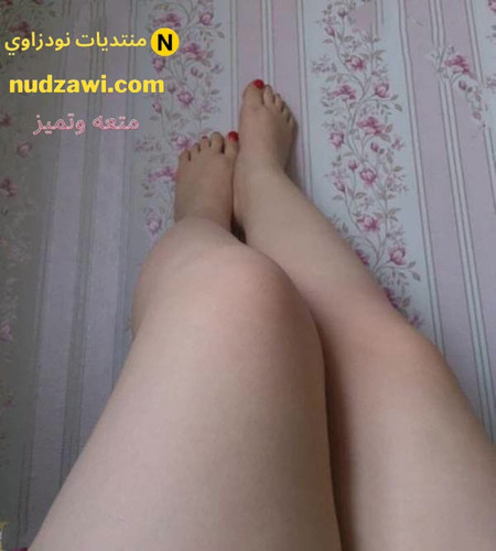 minilien leg 2845 292023 10 07 01 44 23