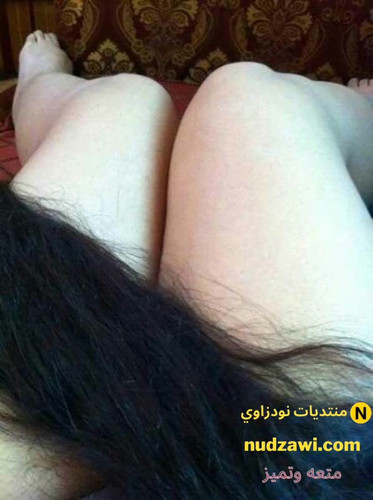 minilien leg 2820 292023 10 07 01 44 23