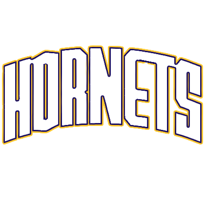 Away Hornets.png