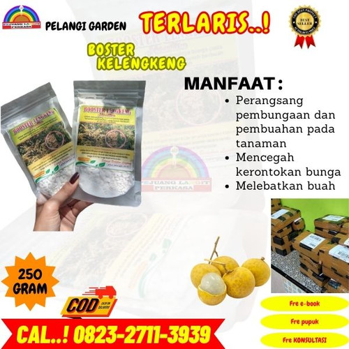 LANGSUNG SUPPLIER! H.Tovix CALL 0823-2711-3939 Jual Pupuk Booster Buah Kelengkeng ke Kebumen-Adimuly.jpg