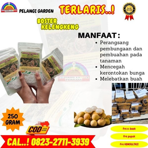 HARGA GROSIR! H.Tovix CALL 0823-2711-3939 Jual Pupuk Npk Kelengkeng ke Kebumen-Adimulyo-Tepakyang.jpg