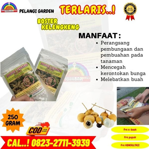 100% GARANSI! H.Tovix CALL 0823-2711-3939 Jual Pupuk Perangsang Buah Kelengkeng ke Kebumen-Alian-Jat.jpg