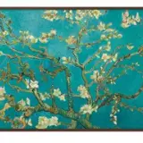 tv Samsung 55 18