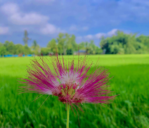 21842C4B 3E83 4819 BD24 9D59C523217E.jpg