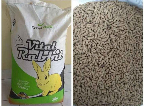 2ff70e79 5298 41fb b03d 121d0d72b5ab.jpg