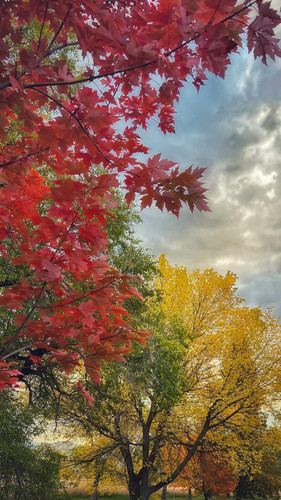 FB IMG 1696640331541.jpg