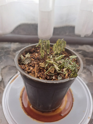 ۲۰۲۳۱۰۰۷ ۱۲۳۵۴۷.jpg