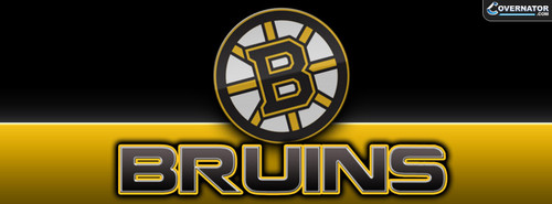 Boston Bruins Nhl Ice Hockey Team d.jpg