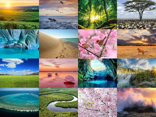 ' Glorified is The Mighty Creator '.jpg