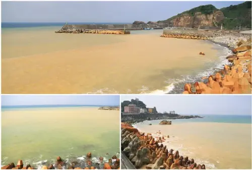 00041 陰陽海.webp