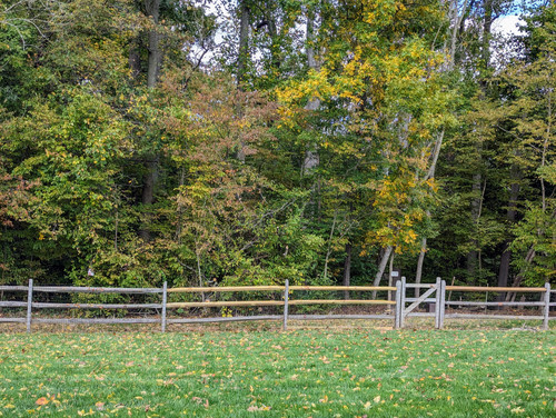 PXL 20231008 154044520