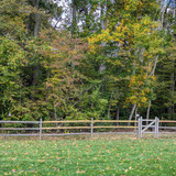 PXL 20231008 154044520