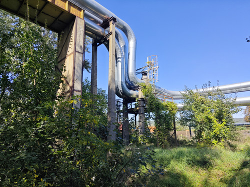 IMG 20231005 124213.jpg