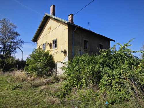 IMG 20231005 125658.jpg