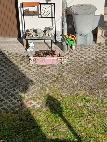 IMG 20231001 WA0000.jpg