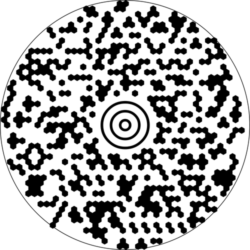 MaxiCodecode2.png