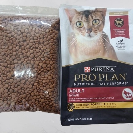 ADULT CHICKEN REPACK 1.jpg