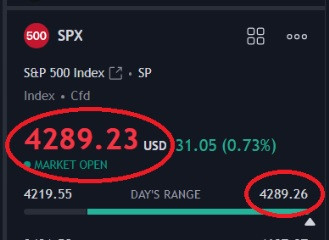 tsla 8223.jpg