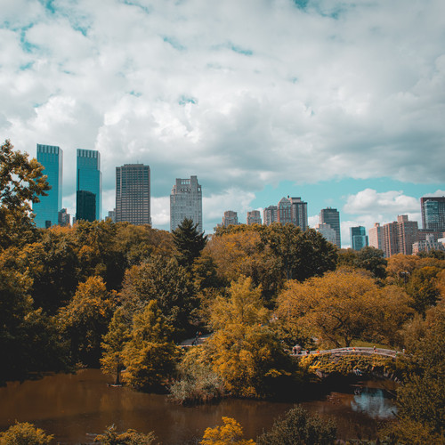 alex boyd iE5eATQ5ngE unsplash.jpg