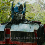 Tran 08