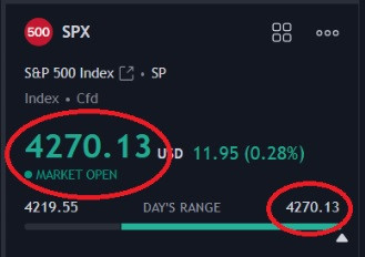 tsla 8223.jpg