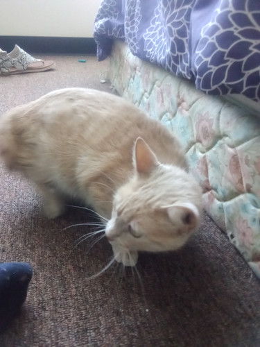 IMG 20231008 150326.jpg