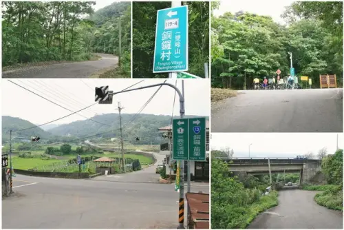 00027 雙峰山走到山下，桐花仍很多.webp