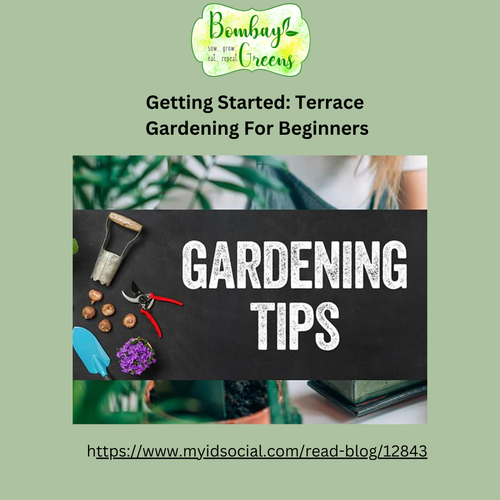 Getting Started Terrace Gardening For Beginners.png