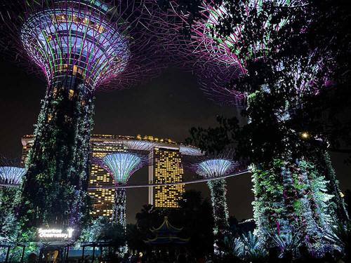 sadfsdaf optimized(1).jpg