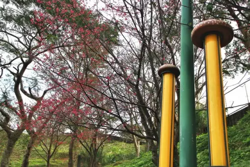 00023 角板山香菇也很有名.webp