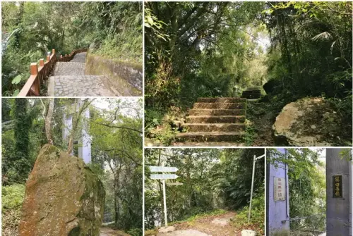 00005 角板山神秘步道.webp