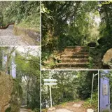 00005 角板山神秘步道