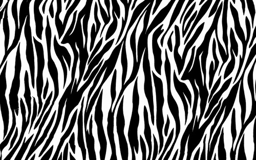 zebraBG.jpg