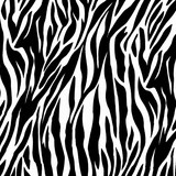 zebraBG