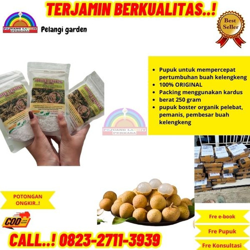 TERMURAH! H.Tovix CALL 0823-2711-3939 Jual Pupuk Perangsang Buah Kelengkeng ke Kebumen-Adimulyo-Sugi.jpg
