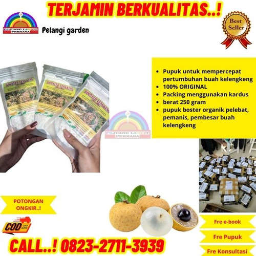 TERLARIS! H.Tovix CALL 0823-2711-3939 Jual Pupuk Perangsang Bunga Kelengkeng ke Kebumen-Adimulyo-Tam.jpg