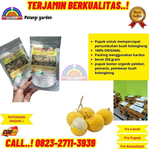TER-AMPUH ! H.Tovix CALL 0823-2711-3939 Jual Pupuk Cair Perangsang Buah Kelengkeng ke Kebumen-Adimul.jpg
