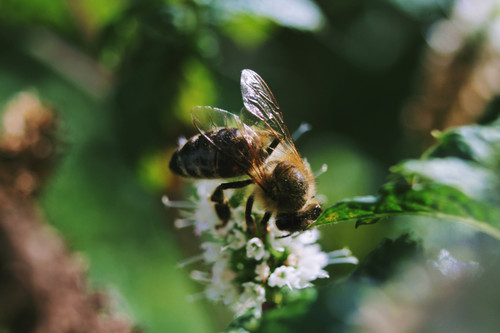 IMG 0125 – kopijaobradjena.jpg