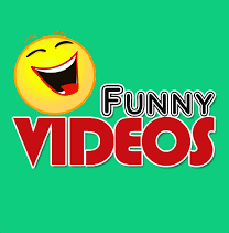 funny videos.png