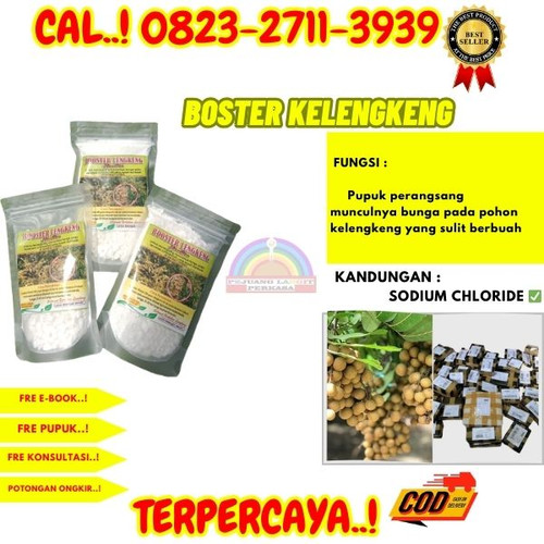 TERMURAH! H.Tovix CALL 0823-2711-3939 Jual Pupuk Buah Kelengkeng Agar Cepat Berbuah ke Kebumen-Alian.jpg