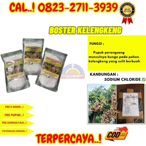 PENJUAL AMANAH! H.Tovix CALL 0823-2711-3939 Jual Pupuk Untuk Kelengkeng Merah ke Kebumen-Alian-Karan.jpg