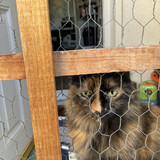 IMG 0310