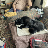 IMG 0348