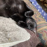 IMG 0312 (2)