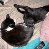 IMG 0017