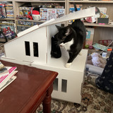IMG 0121