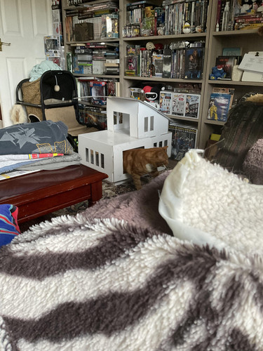 IMG 0258