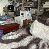 IMG 0258