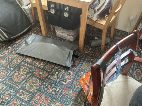 IMG 0238