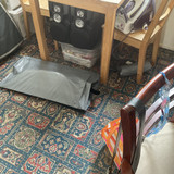 IMG 0238